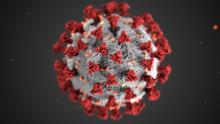 Coronavirus pandemic: updates from around the world