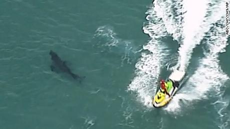 In this aerial video image, a jet ski passes over a shark swimming along the coast of Kingscliff, New South Whales, Australia, Sunday 7 June 2020. 