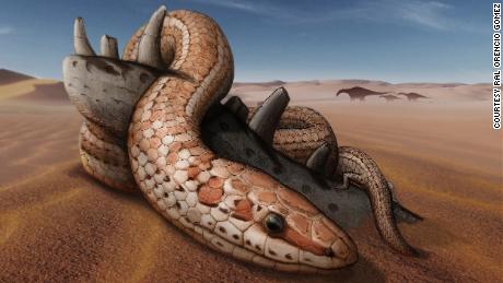 Snakes had back legs for 70 million years before losing them, new fossil shows 