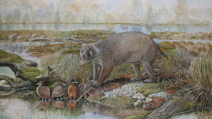 Giant wombat-like creatures, the size of black bears, once walked the earth