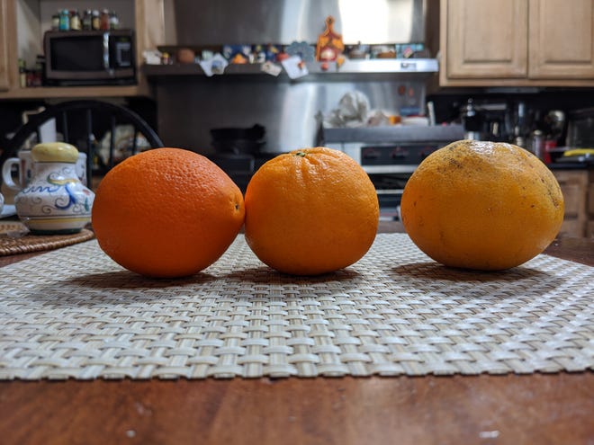 Oranges photographed on Google Pixel 4A phone