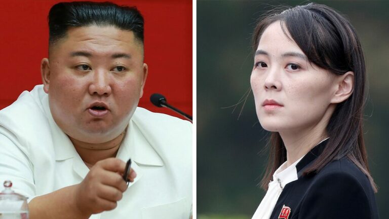 Kim Jong Un in coma, sister set to choose management, South Korean ex-diplomat alleges  