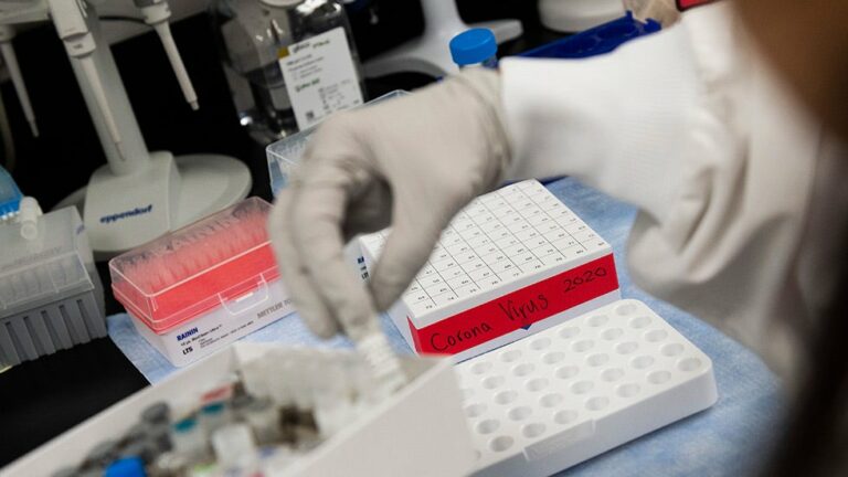 Russia offered assist with coronavirus vaccine, US declined: report