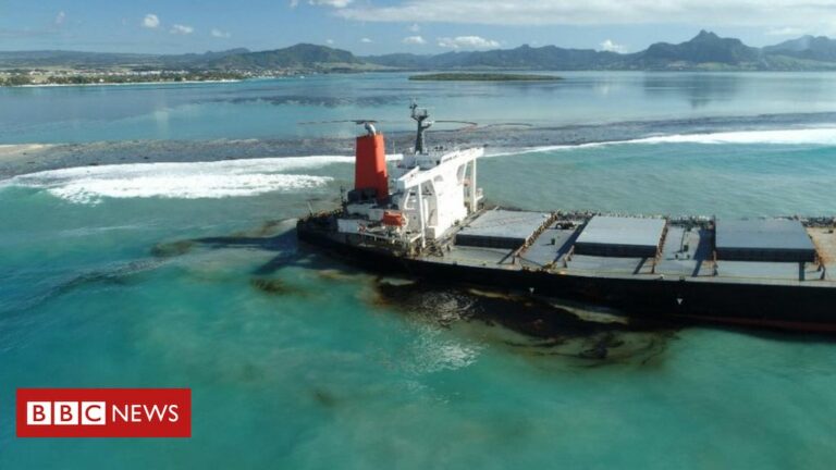 Why the Mauritius oil spill is so critical