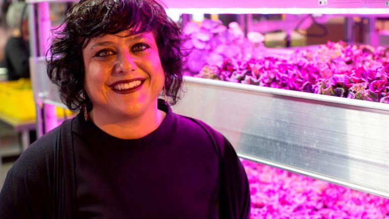 This innovative farm grows more than just fresh produce