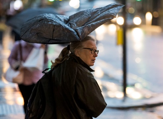 ?  Licensed for London News Pictures.  02/10/2020.  London, UK.  A woman shelters under an umbrella while battling heavy rain and wind during a morning tour at Ledbrock Grove in Ledbrook Grove, West London as Storm Alex brings 90 MPF wind and heavy rain across much of the UK.  Photo credit: Ben Couthra / LNP