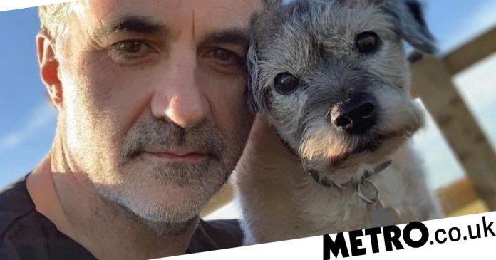 Super Wet Noel Fitzpatrick's dog is in critical condition

