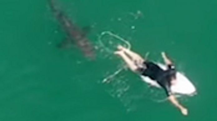 A very close call from an Australian pro surfer with a shark captured in drone footage

