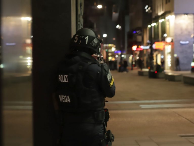 Surviving Vienna shooting: Recent update reports say one killed and several wounded in suspected terrorist attack