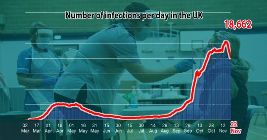 Coronavirus case UK 11 November 