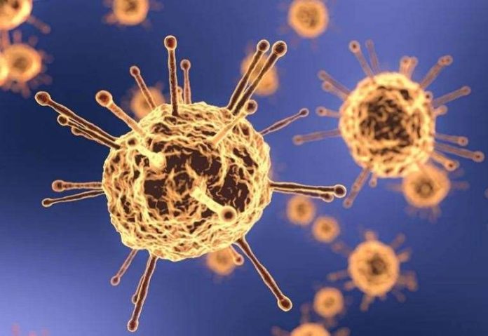 New figures show Swale now has the highest coronavirus infection rate in England as the council has an emergency meeting

