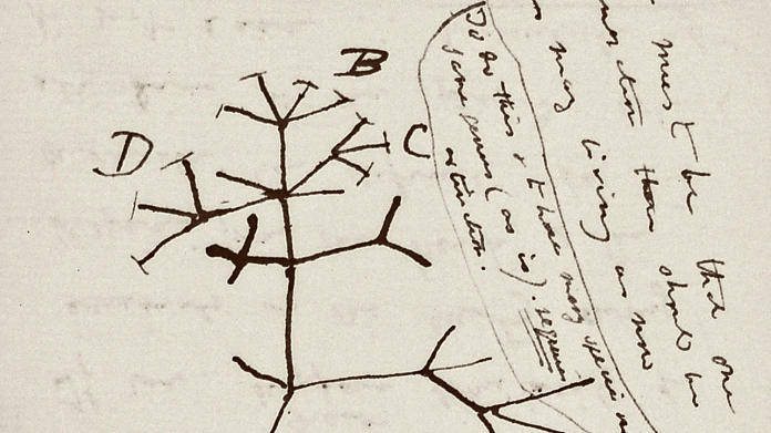 Darwin notebook, long observation, now believes theft: NPR

