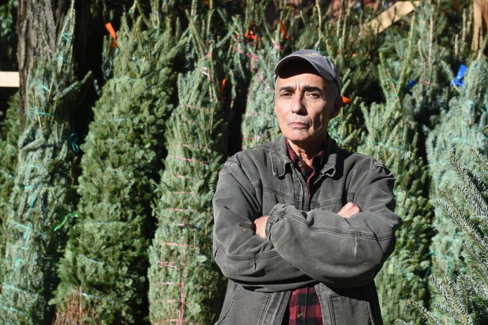 NYC Christmas tree supplier alleges tree fraud at home depot


