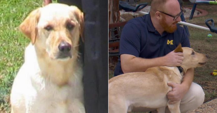 Pets Cloning: Man's Best Friend, Again

