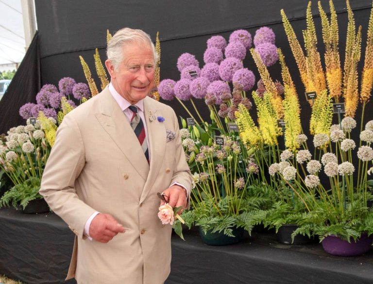 Prince Charles draws fashion surprises, admires what he wears