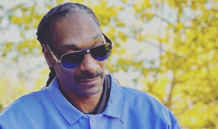 Push Snoop Dogg back against the “WAP” b Back Clash

