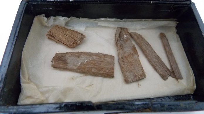 Surprising discovery: wood came out of pyramids in Scotland

