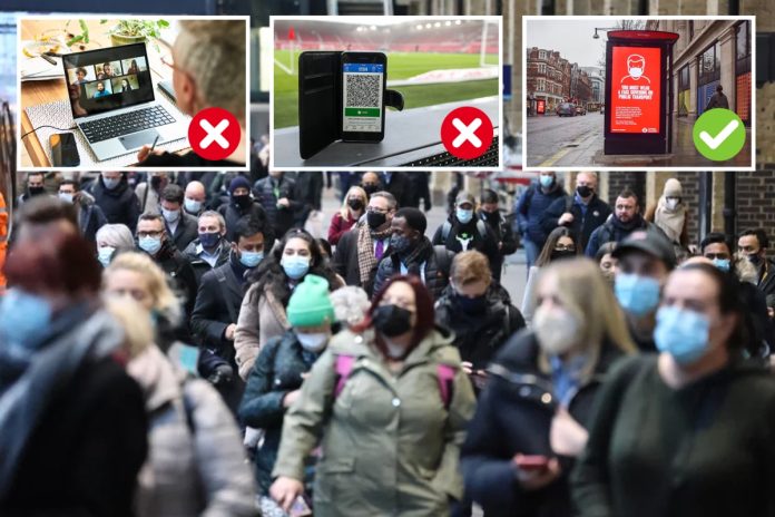 Work from home and vaccine passports to be dropped in just nine days, but face masks to remain on public transport


