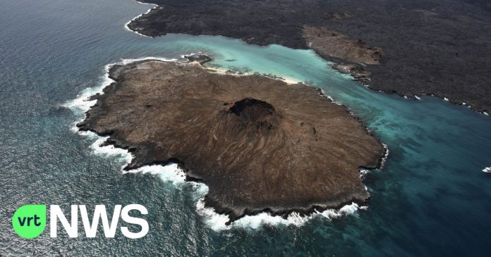 Ecuador expands nature reserve around Galapagos Islands

