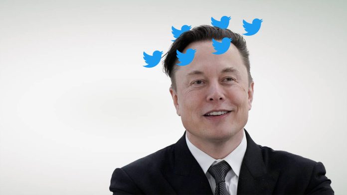 Elon Musk: The New Power on Twitter


