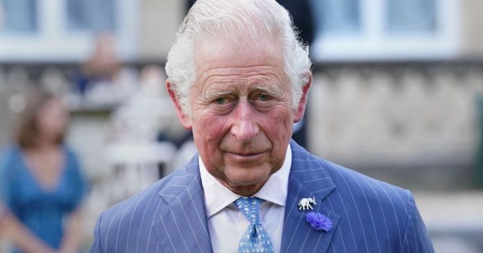  Prince Charles, how much are you paying for electricity?  stellar figure

