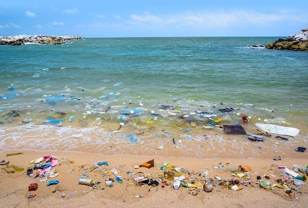 inquinamento spiagge