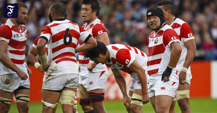 Rugby World Cup: Scotland shows Japan boundaries

