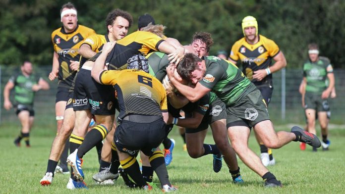 North Rhine-Westphalia: Rugby clashes and headers: how harmful are they to health?


