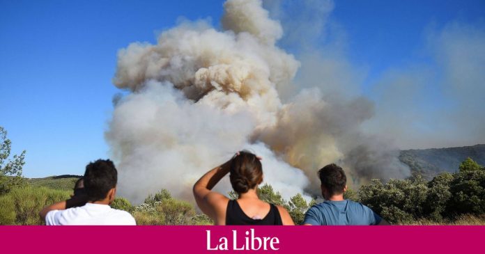 A local elected official admitted to being at the origin of several wildfires in France: 