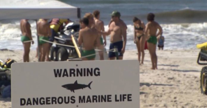  Sharks attacked two people on a US beach in one day.  World

