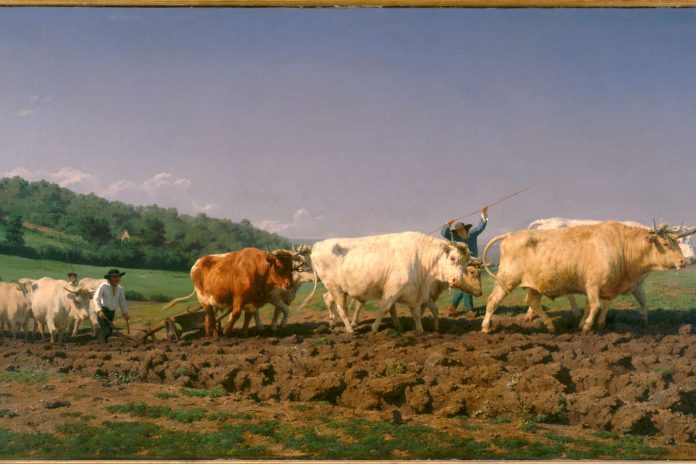 Illustrated Breath of Rosa Bonheur in Noah's Ark, at the Museum of Fine Arts in Bordeaux

