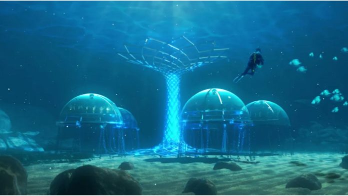 Nemo's Garden, Underwater Farm for Ground Plants

