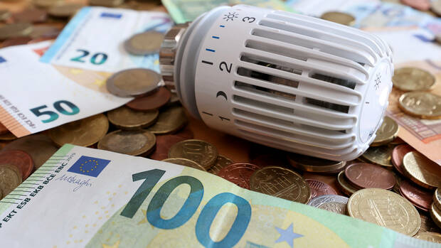 Which is the cheapest heating you currently use?

