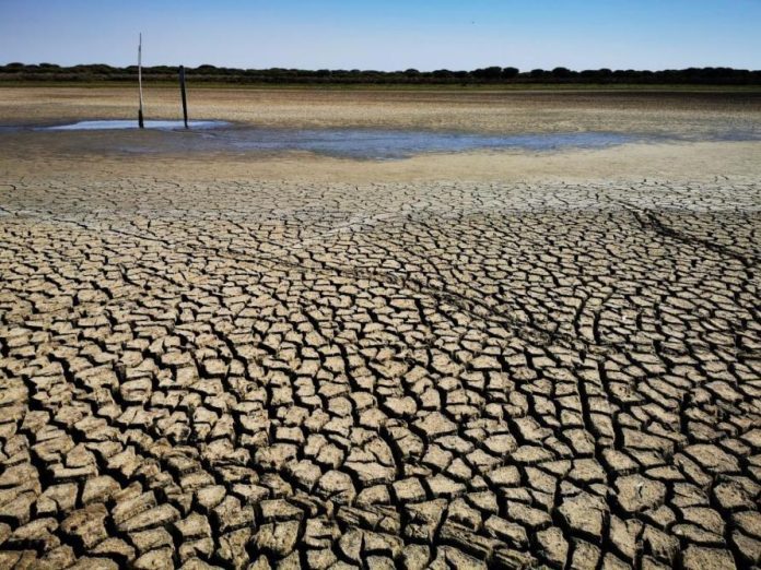 One of Europe's largest wetlands is dry


