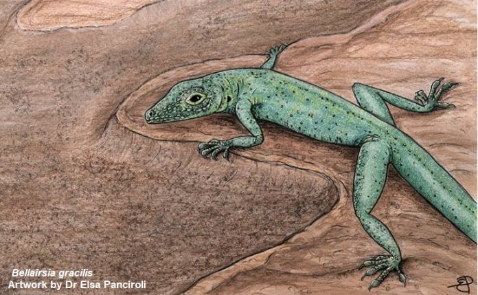 The Origin of Lizards - GreenReport: Ecological Economy and Sustainable Development

