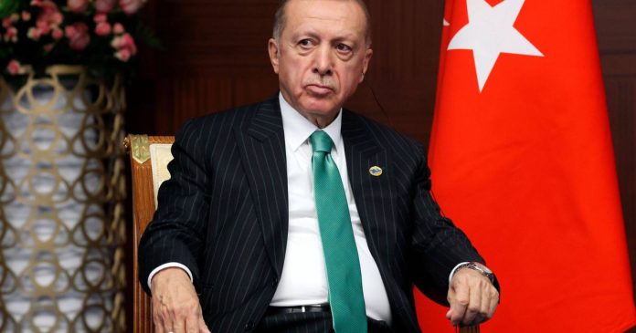 Erdogan orders Turkish government to start work on Putin's proposed gas hub

