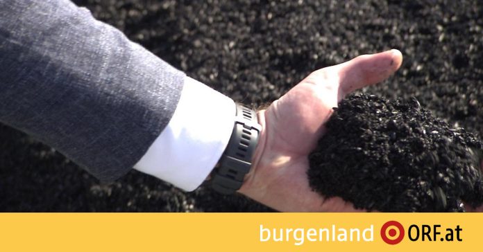 Biochar for Climate Friendly Concrete - burgenland.ORF.at

