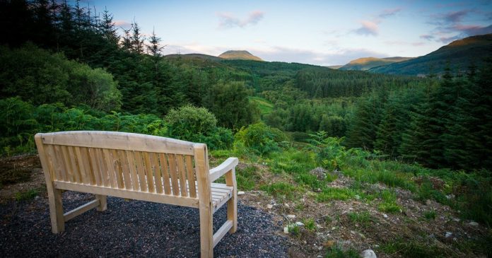 How to become a lord by buying a small piece of land in Scotland - Idealista/News

