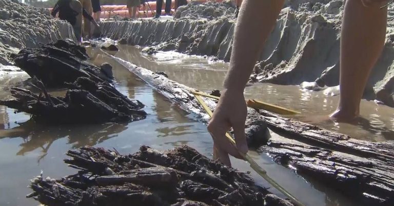 19th century boat discovered beached after recent hurricane in Florida |  World